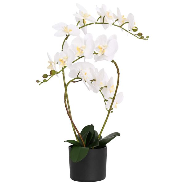 Productafbeelding 1 van 5