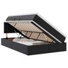 vidaXL Opslag bed met matras met opslag Zwart 120 x 190 cm Nep Leer