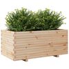 vidaXL Plantenbak 110x60x49,5 cm massief grenenhout