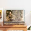 vidaXL Terrarium met opslag Doorzichtig 40 x 30 x 30 cm Glas