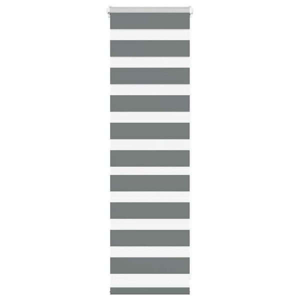 vidaXL Zebra rolgordijn 40x100 cm stofbreedte 35,9 cm donkergrijs