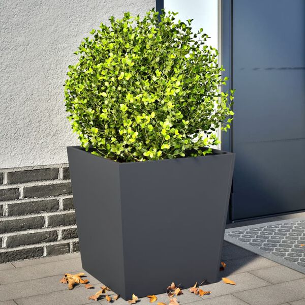 Productafbeelding 2 van 12