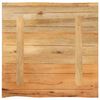 vidaXL Tafelblad met natuurlijke rand 60x60x2,5 cm massief mangohout