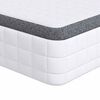 vidaXL Matras 2 st Medium zacht 70 x 190 cm Wit en Grijs