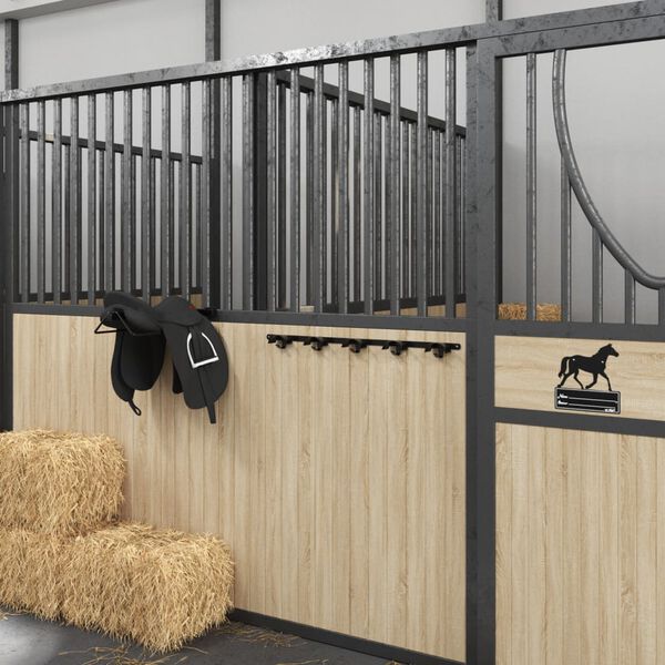 vidaXL Hoofdstelhouder voor 5 hoofdstellen met 5 haken ijzer zwart