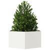 Miniatuurafbeelding van het product 3 van 10