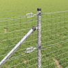 Miniatuurafbeelding van het product 3 van 4
