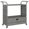 vidaXL Serveerwagen met lade 100x45x97 cm poly rattan grijs