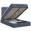 vidaXL Ottoman Bed met Matrassen en LED Donkergrijs 120 x 200 cm