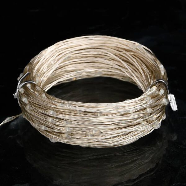 vidaXL Lichtsnoer met 400 microLED's blauw 8 functies 40 m