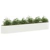 Miniatuurafbeelding van het product 3 van 8
