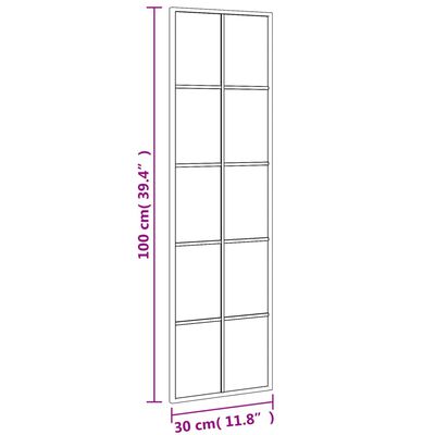 vidaXL Wandspiegel rechthoekig 30x100 cm ijzer zwart