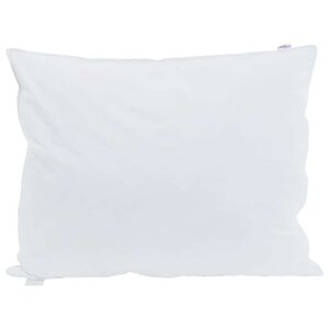 vidaXL Hoofdkussen met kussen Wit 40 x 60 cm Veren