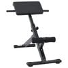 vidaXL Hyperextension Bank Zwart 100,5 x 70 x 78 cm Gepoedercoat staal