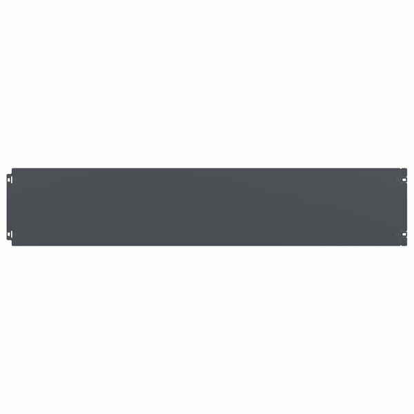 vidaXL Gazonranden 10 st 20x103 cm koudgewalst staal antraciet