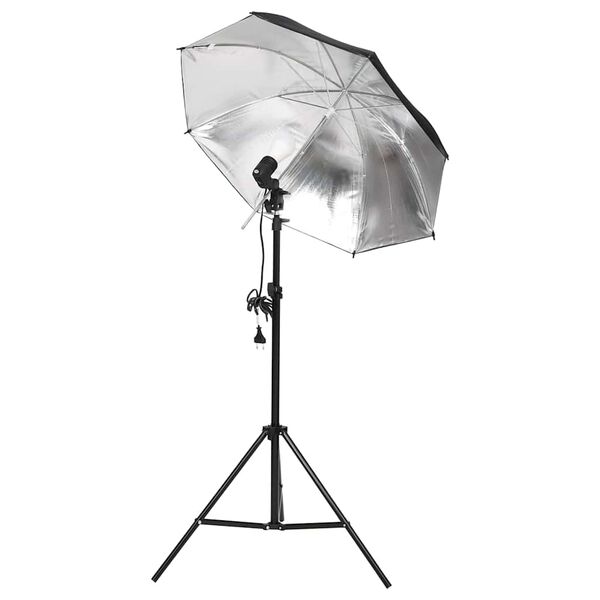 vidaXL Fotostudioset met verlichtingsset en achtergrond