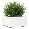 vidaXL Plantenbak 50x50x26,5 cm massief grenenhout wit