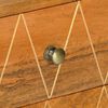 vidaXL Dressoir 85x40x70 cm massief mangohout