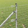 Miniatuurafbeelding van het product 4 van 11
