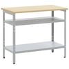 vidaXL Werktafel met plank Grijs en Beige 100 x 55 x 85 cm Staal