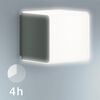 Steinel Sensorlamp voor buiten L 830 LED IHF antraciet 055493