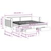 vidaXL Slaapbank onderschuifbed en lades 90x200 cm fluweel lichtgrijs