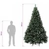 Miniatuurafbeelding van het product 12 van 12