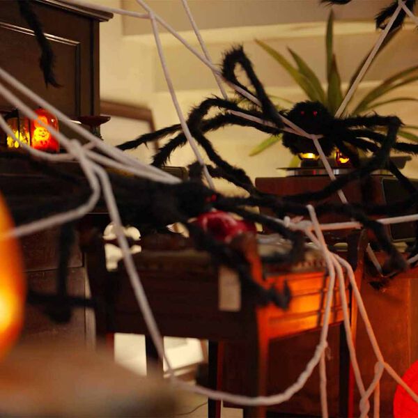 vidaXL Halloween spindecoratie met webben 2 pcs Zwart en wit Polyester