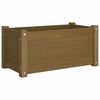 vidaXL Plantenbakken 2 st 60x31x31 cm massief grenenhout honingbruin