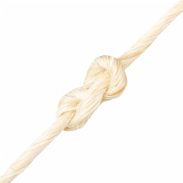 vidaXL Touw 2 mm 600 m 100% sisal