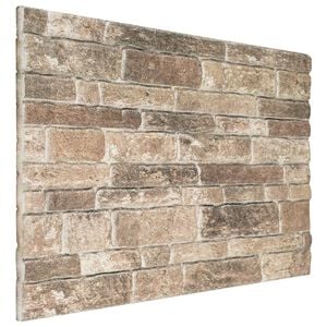 vidaXL Wandpanelen 10 st 100 x 50 cm Meerkleurig EPS-schuim
