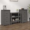vidaXL Dressoirs 2 st 40x35x80 cm massief grenenhout grijs