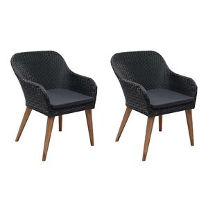 vidaXL Tuinstoelen 2 st met kussens poly rattan zwart