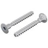 vidaXL Bout 2 pcs Verzinkt 5 x 40 mm IJzer