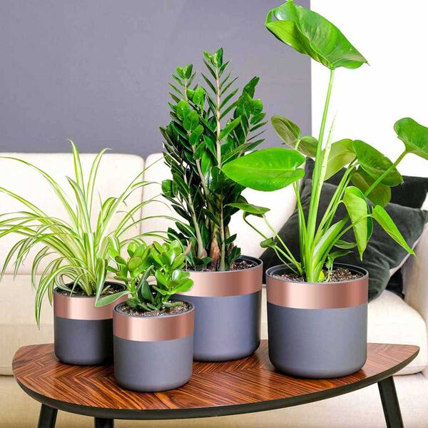 vidaXL Kopertape Koper 2000 x 7 cm Koper