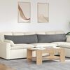 vidaXL Sofa Kussens 2 stuks Donkergrijs 145 x 40 cm Stof