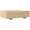 Natural_pine
