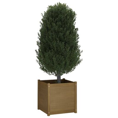 vidaXL Plantenbak 60x60x60 cm massief grenenhout honingbruin
