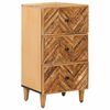 vidaXL Opslagkasten Bruin 40 x 33,5 x 75 cm Massief Mango Hout