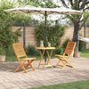 vidaXL Vouw Bistro Set 3 pcs Bruin Massief Acaciahout