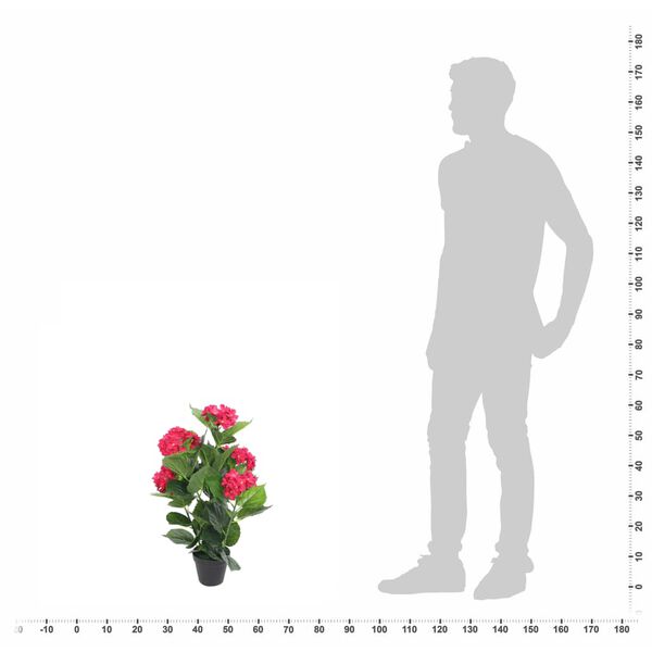 Productafbeelding 3 van 3