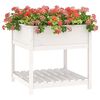 Miniatuurafbeelding van het product 6 van 8