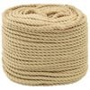 vidaXL Multifunctioneel gebruikstouw 6 mm 100 m Naturel PP