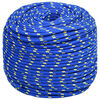 vidaXL Multifunctioneel gebruikstouw 10 mm 100 m Blauw PP