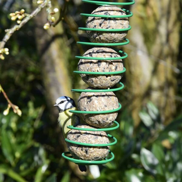 dobar Vetballen voor vogels gourmet 100 st