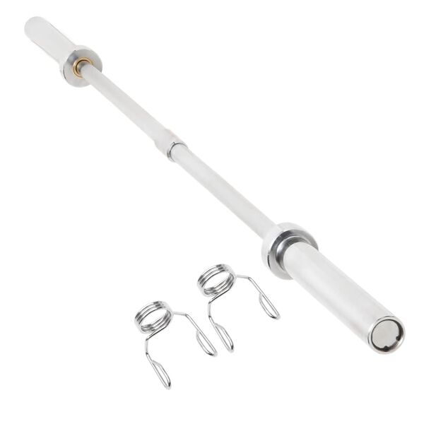 vidaXL Halterstang olympisch 180 cm staal