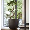 Miniatuurafbeelding van het product 6 van 15