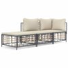 vidaXL 3-delige Loungeset met kussens poly rattan antracietkleurig