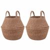 vidaXL Plantenpot met handvatten 2 st Naturel &Oslash; 22 x 20 cm