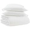 vidaXL Winter Dekbed met kussen 3 pcs Wit Donsveertjes